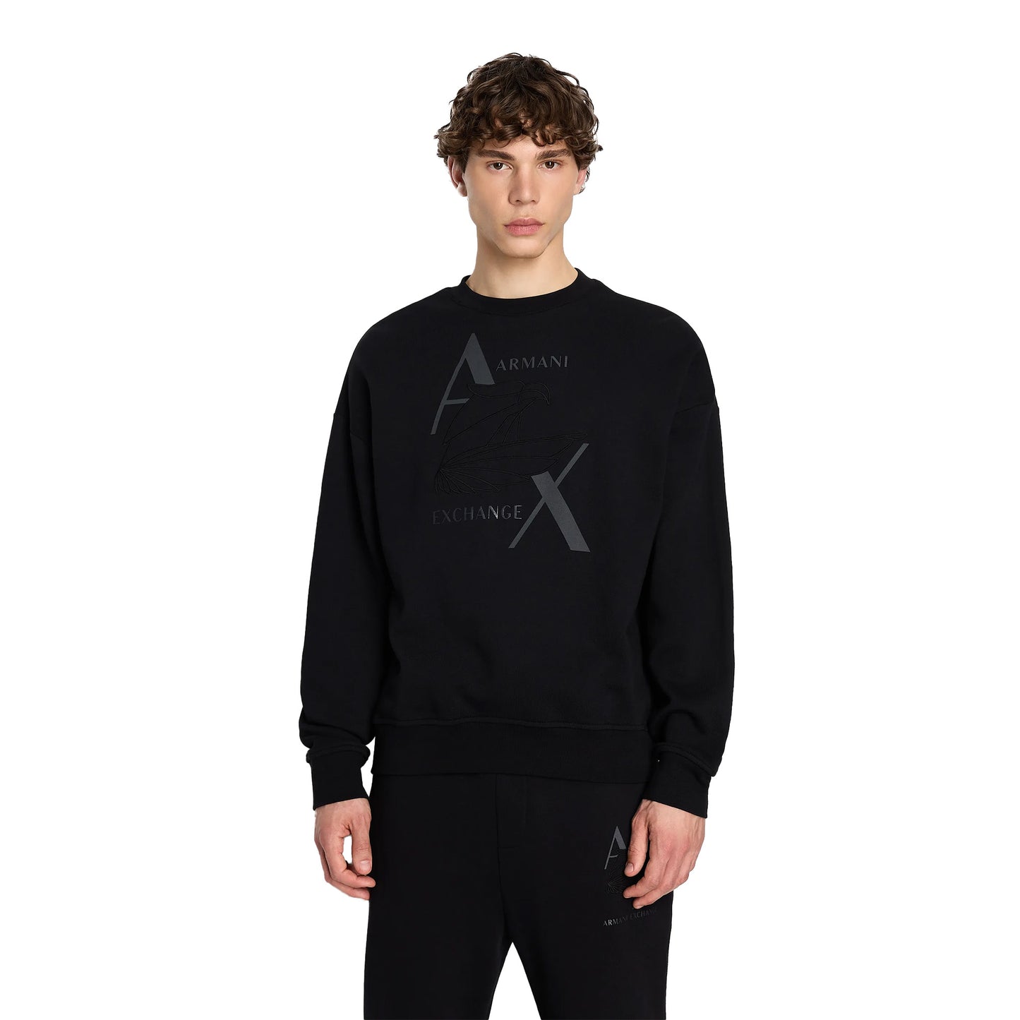 Armani Eagle Embroidery Logo Sweatshirt